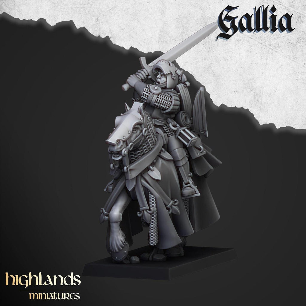 Questing Knights Of Gallia | Highlands Miniatures