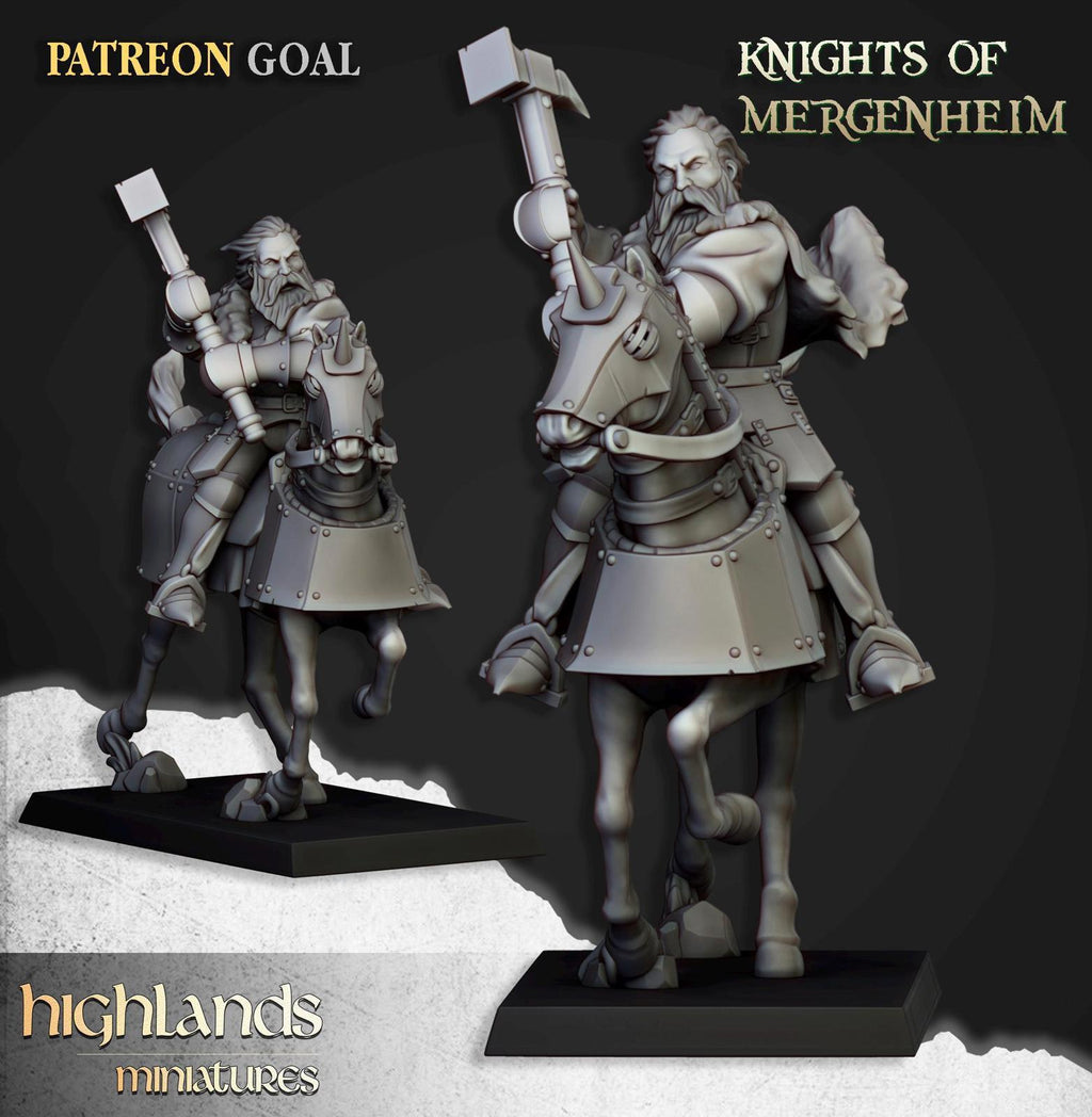 Mergenheim knights | Highland Miniatures