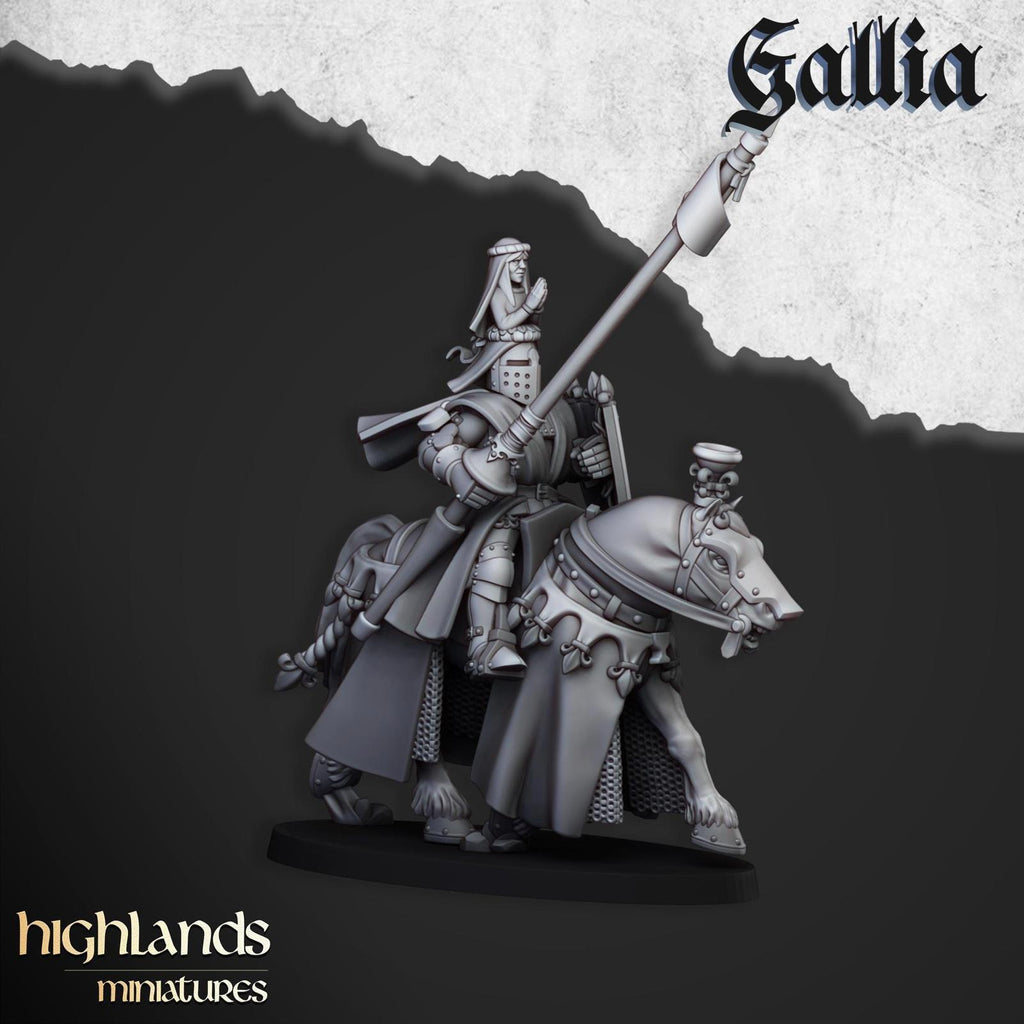 Royal knights of Gallia | Highlands Miniatures