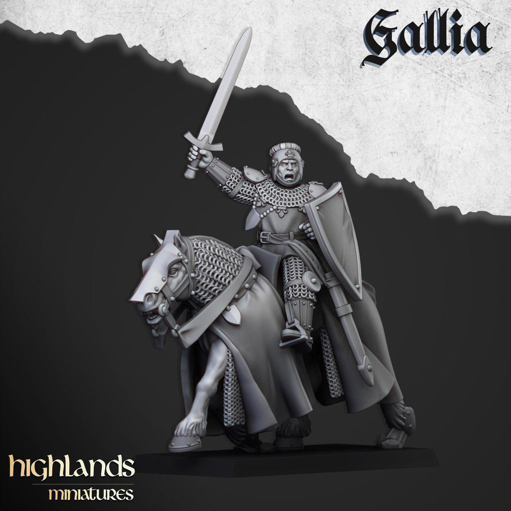 Young Knights Of Gallia | Highlands Miniatures