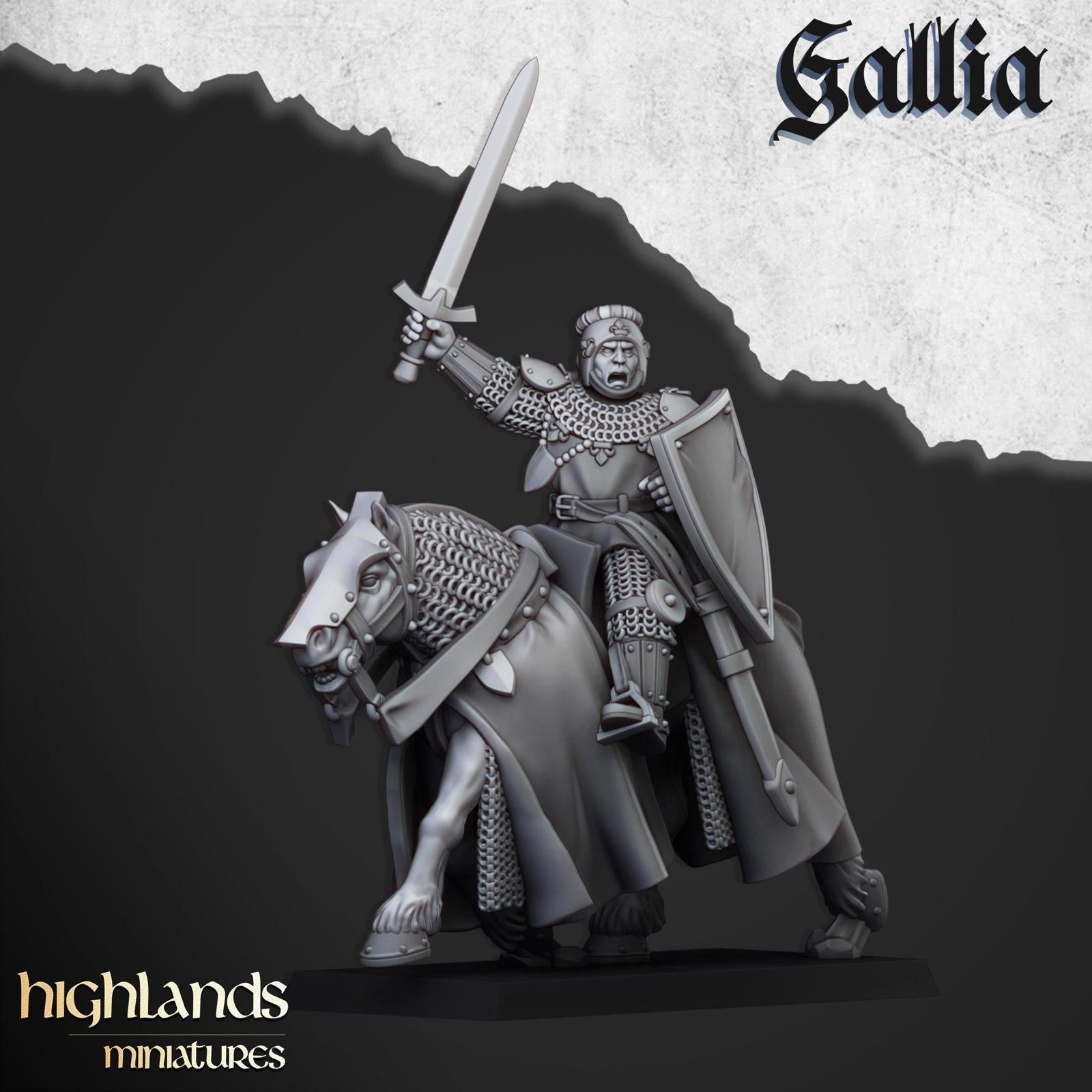 Young Knights Of Gallia | Highlands Miniatures