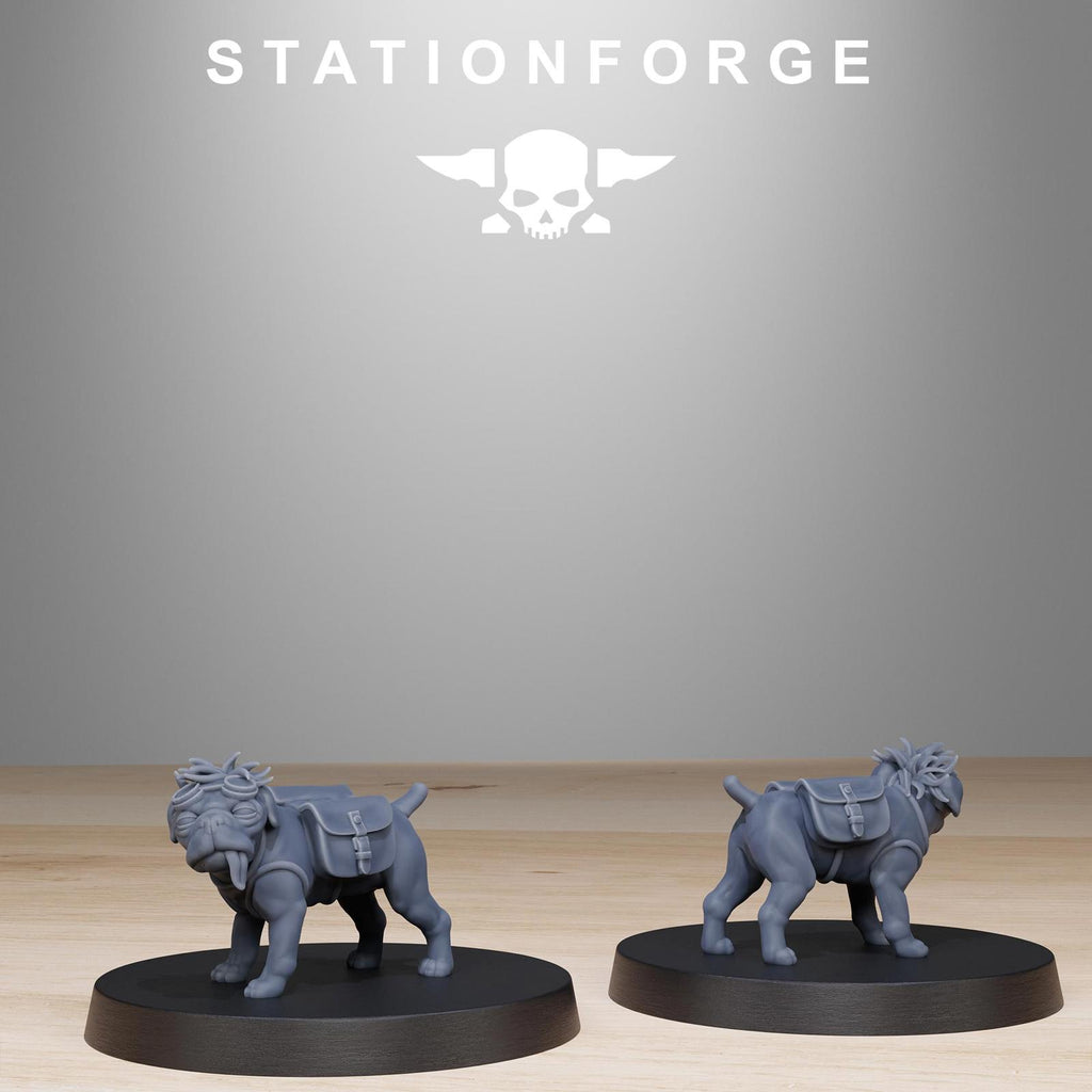 Grim Guard Skulldart Trappers - set of 14 minis