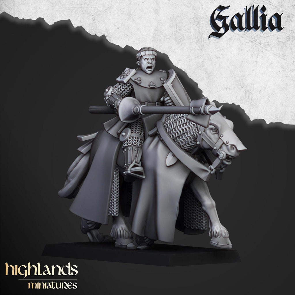 Young Knights Of Gallia | Highlands Miniatures