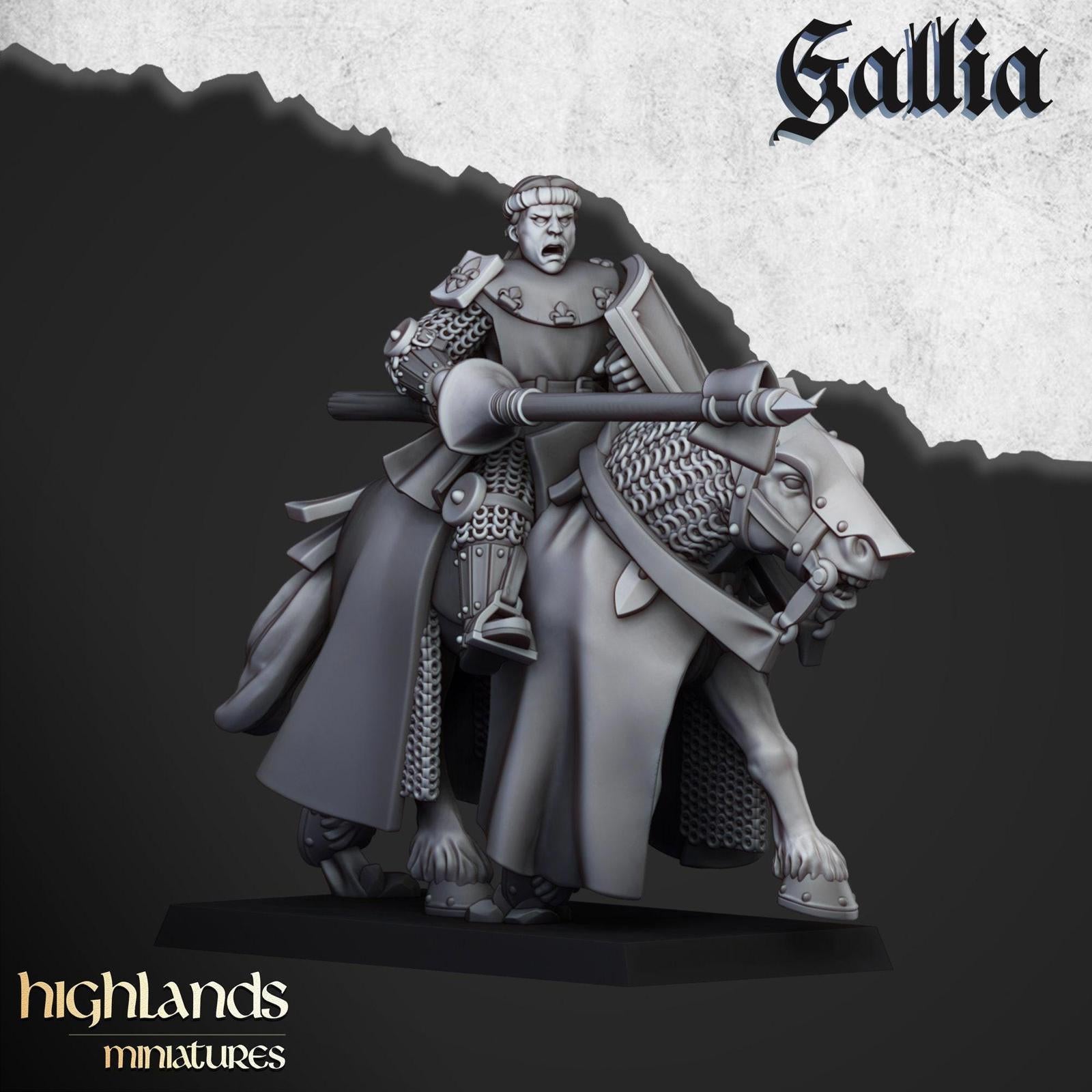 Young Knights Of Gallia | Highlands Miniatures