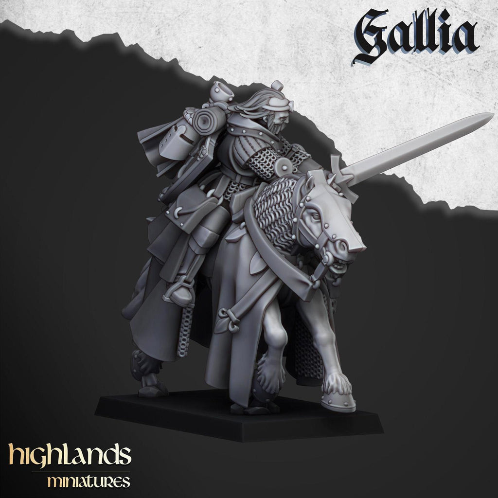Questing Knights Of Gallia | Highlands Miniatures