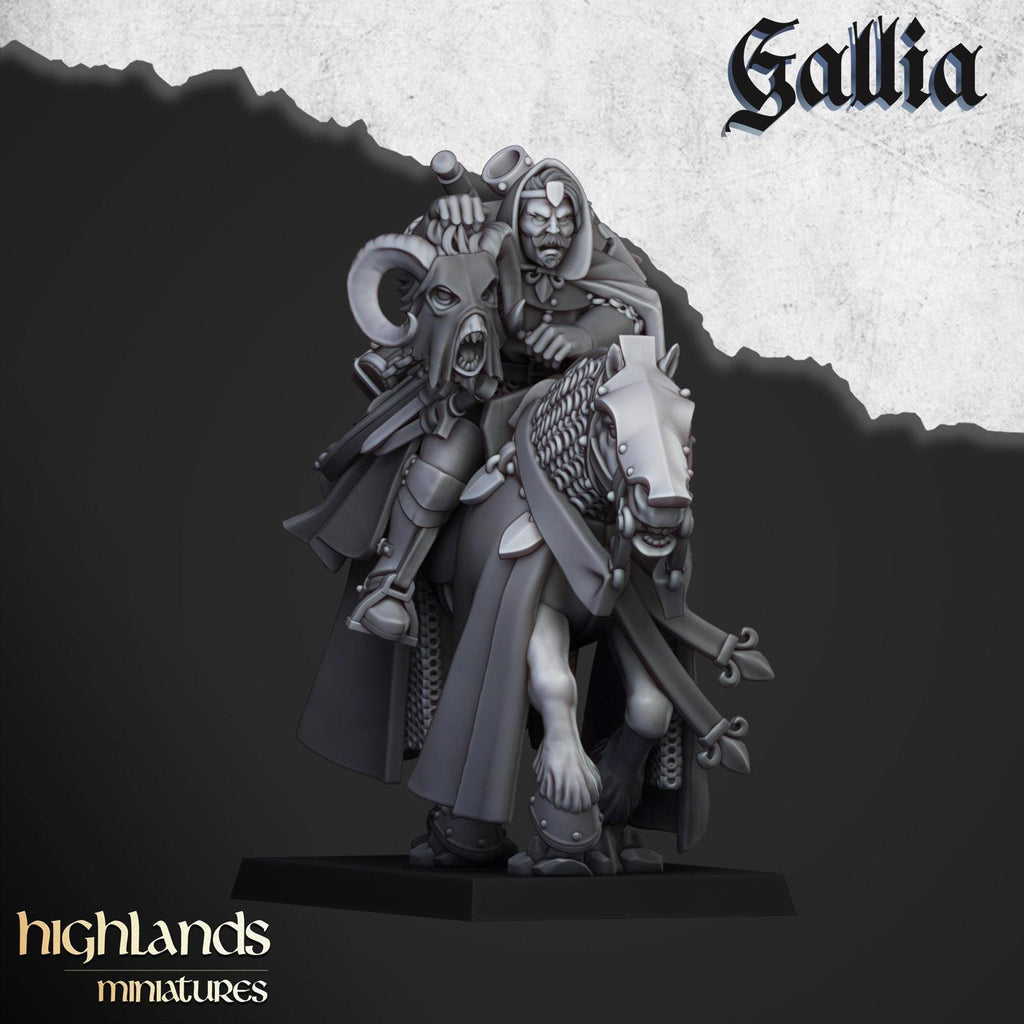 Questing Knights Of Gallia | Highlands Miniatures