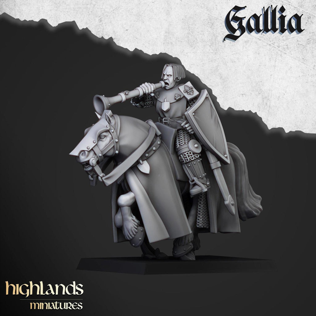 Young Knights Of Gallia | Highlands Miniatures